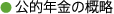 ●公的年金の概略